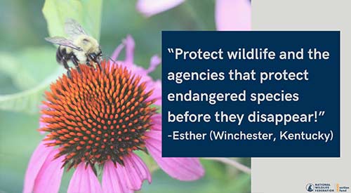 "Protect wildlife and the agencies that protect endangered species before they disappear!" - Esther (Winchester, Kentucky)