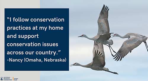"I follow conservation practices at my home and support conservation issues across our country." - Nancy (Omaha, Nebraska)