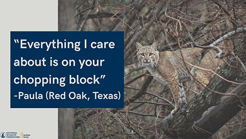 "Everything I care about is on your chopping block." - Paula (Red Oak, Texas)