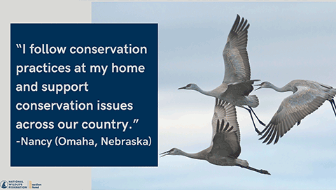 "I follow conservation practices at my home and support conservation issues across our country." - Nancy (Omaha, Nebraska)
