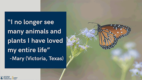 "I no longer see many animals and plants I have loved my entire life." - Mary (Victoria, Texas)