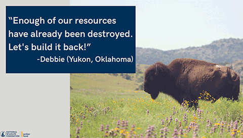 "Enough of our resources have already been destroyed. Let's build it back!" - Debbie (Yukon, Oklahoma)