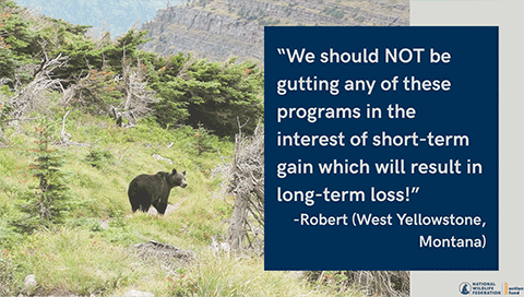 "We should NOT be gutting any of these programs in the interest of short-term gain which will result in long-term loss!" - Robert (West Yellowstone, Montana)