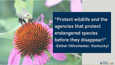 "Protect wildlife and the agencies that protect endangered species before they disappear!" - Esther (Winchester, Kentucky)