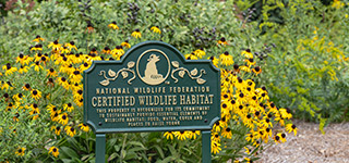 Certified Wildlife Habitat sign surrounded by flowers
