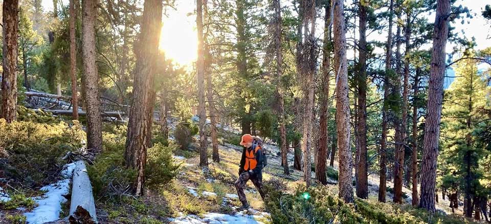 Hunter in the Gunnison National Forest, CO; Photo credit: Aaron Kindle