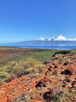 Lanai landscape