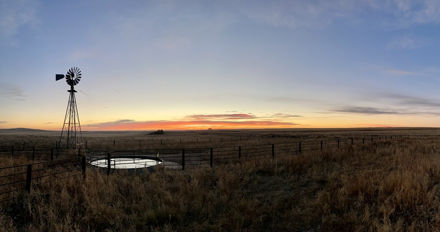 Farm and windmill at sunset