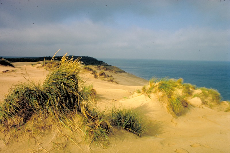 Sand dunes at Indiana Dunes National Lakeshore, credit Woodbridge Williams