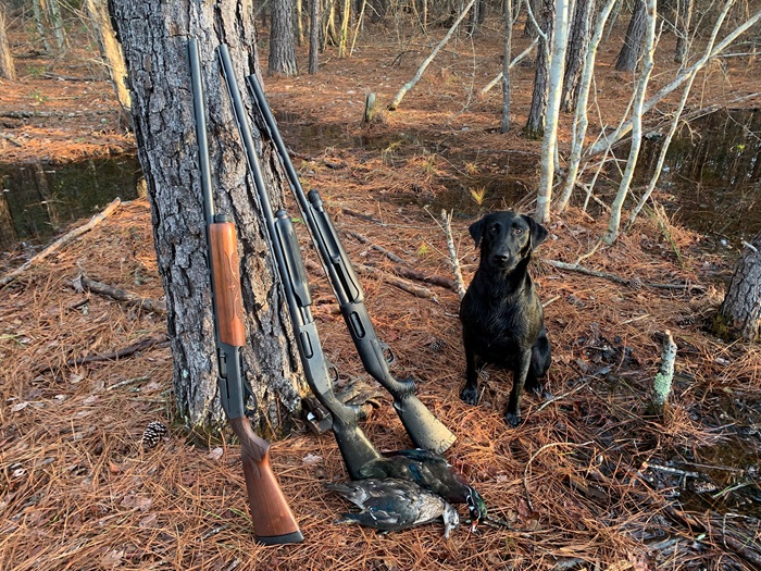 Hunting Dog Photo credit: Breanna Bashford, R3 Coordinator