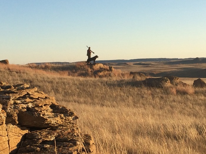 hunting with dog in grasslands