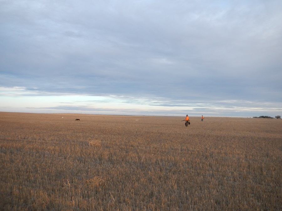 Hunters on a farm