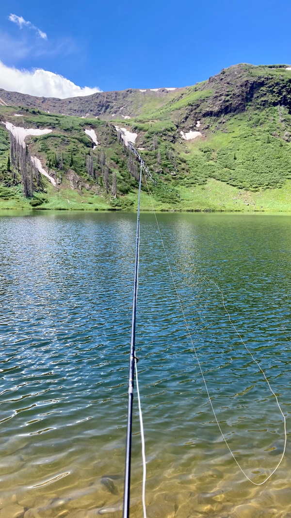 Fly rod