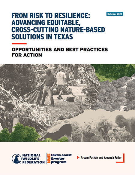 From Risk to Resilience: Advancing Equitable, Cross-Cutting Nature-Based Solutions in Texas report cover