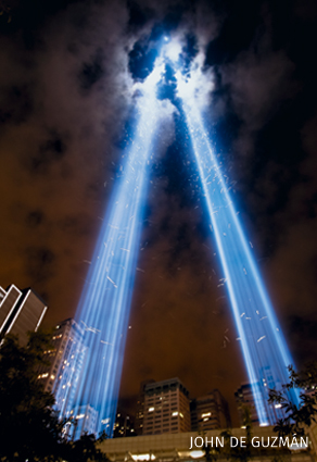 An image of birds flying through the twin beams at the Tribute in Light.