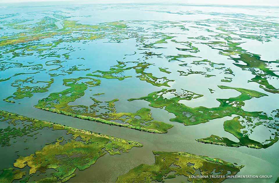 An aerial image of Louisiana's Barataria Basin.