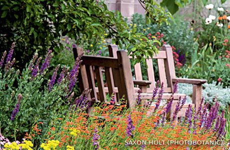 An image of a bench on a patio garden with blooming perennials.