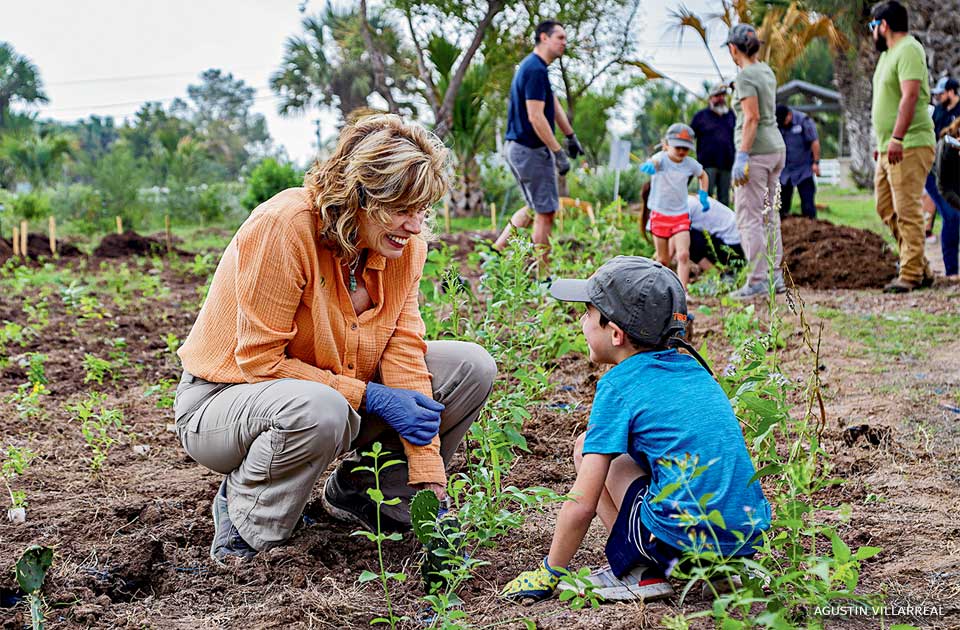 An image of people planting.
