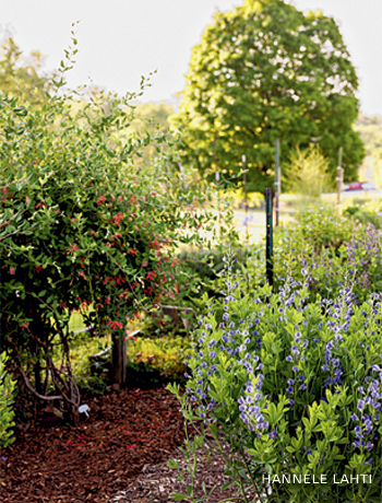 An image of the butterfly garden at the Friends House retirement community.