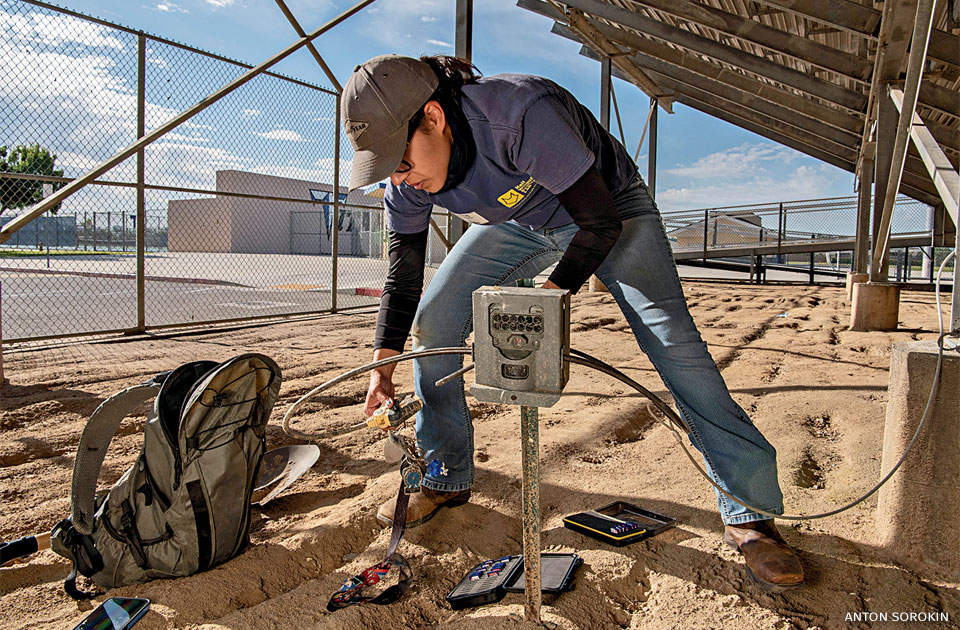 An image of Alyse Gabaldon replacing memory cards and batteries in a camera trap.