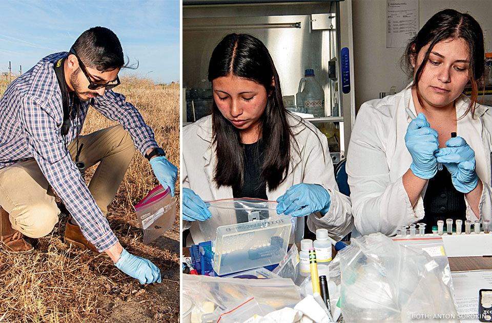 A collage of students gathering fecal samples and working in a lab.