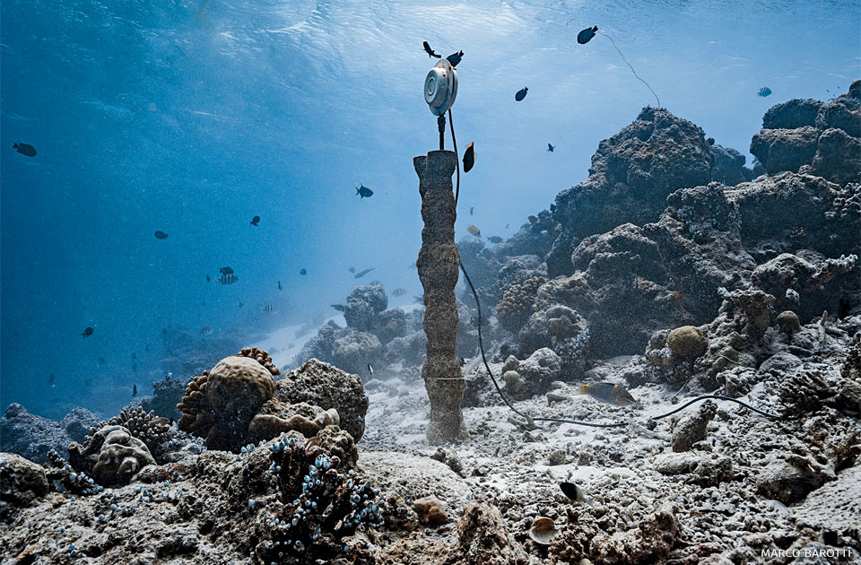 An image of an underwater sound sculpture.