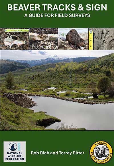Beaver Tracks & Sign Guide Cover