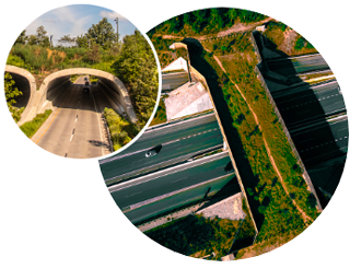 Images of two wildlife crossings over highways