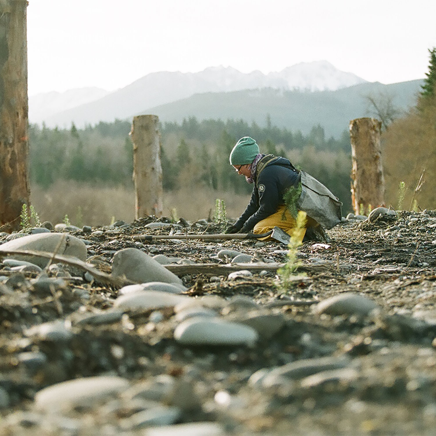 habitat restoration in Washington State